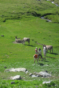 Hiking Hautes-Alpes